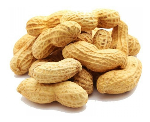 Amendoim com casca cru - 100g